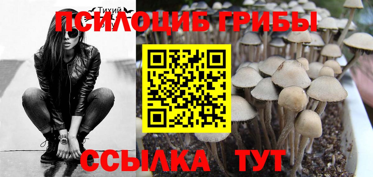Псилоцибиновые грибы Magic Shrooms  Вход с VPN  Шахты 